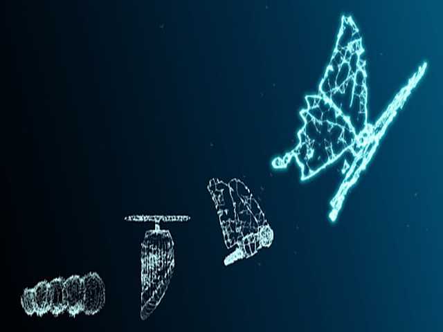 PHYGITAL MEETING - Road to Bio€quity Europe 2022
Il ruolo degli attori pubblici a supporto della crescita del settore Life Sciences in Italia