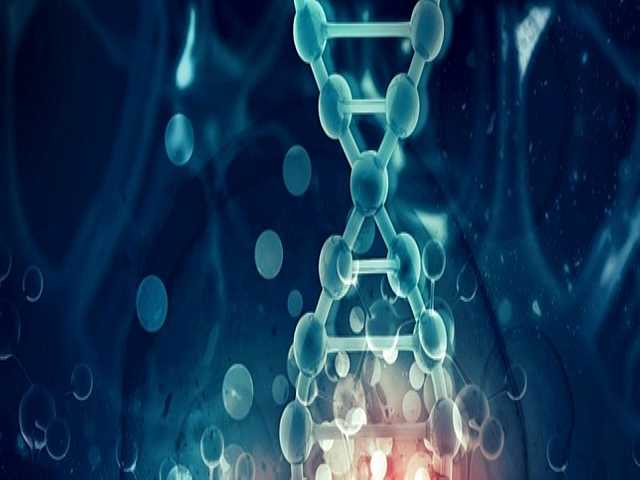 WEBINAR LIVE
Osservatorio Genomica: evidenze e risultati del primo anno di attività