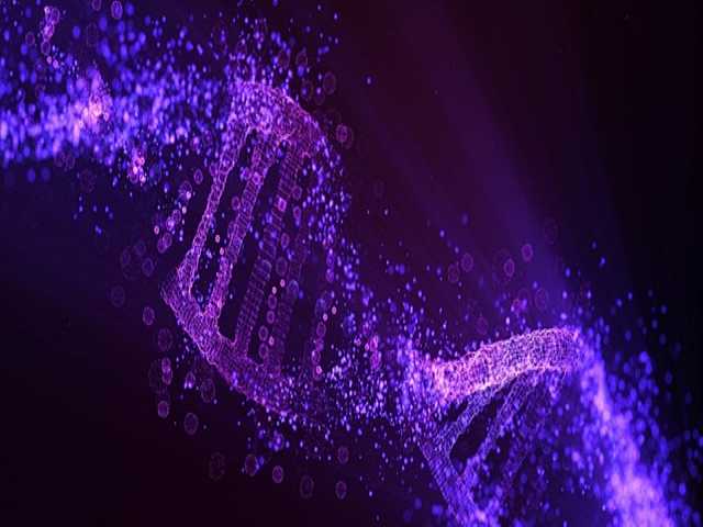 VIDEOCONFERENZA
Verso una strategia nazionale per la genomica: quali potenzialità per l'Italia?