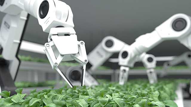 Video ABB and SEVAL case study